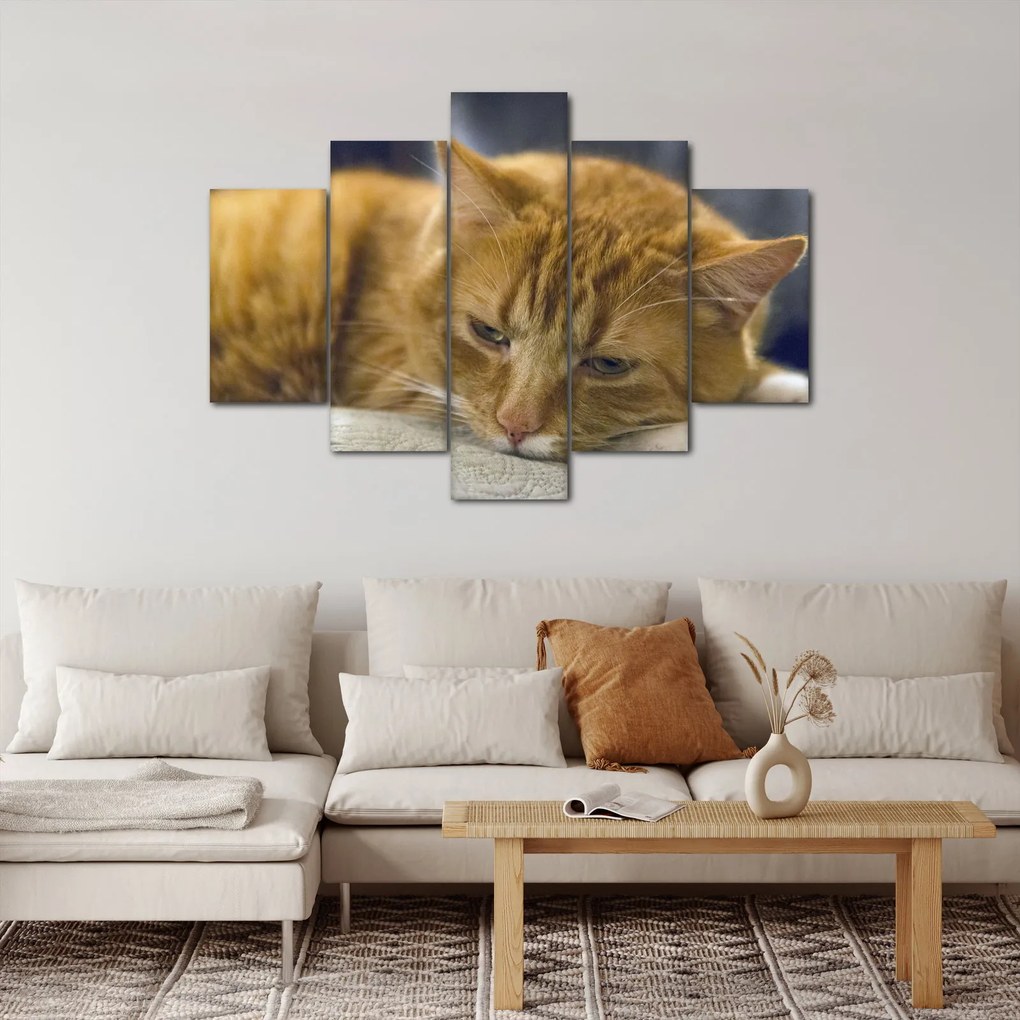 Tabloul pisicii (150x105 cm)