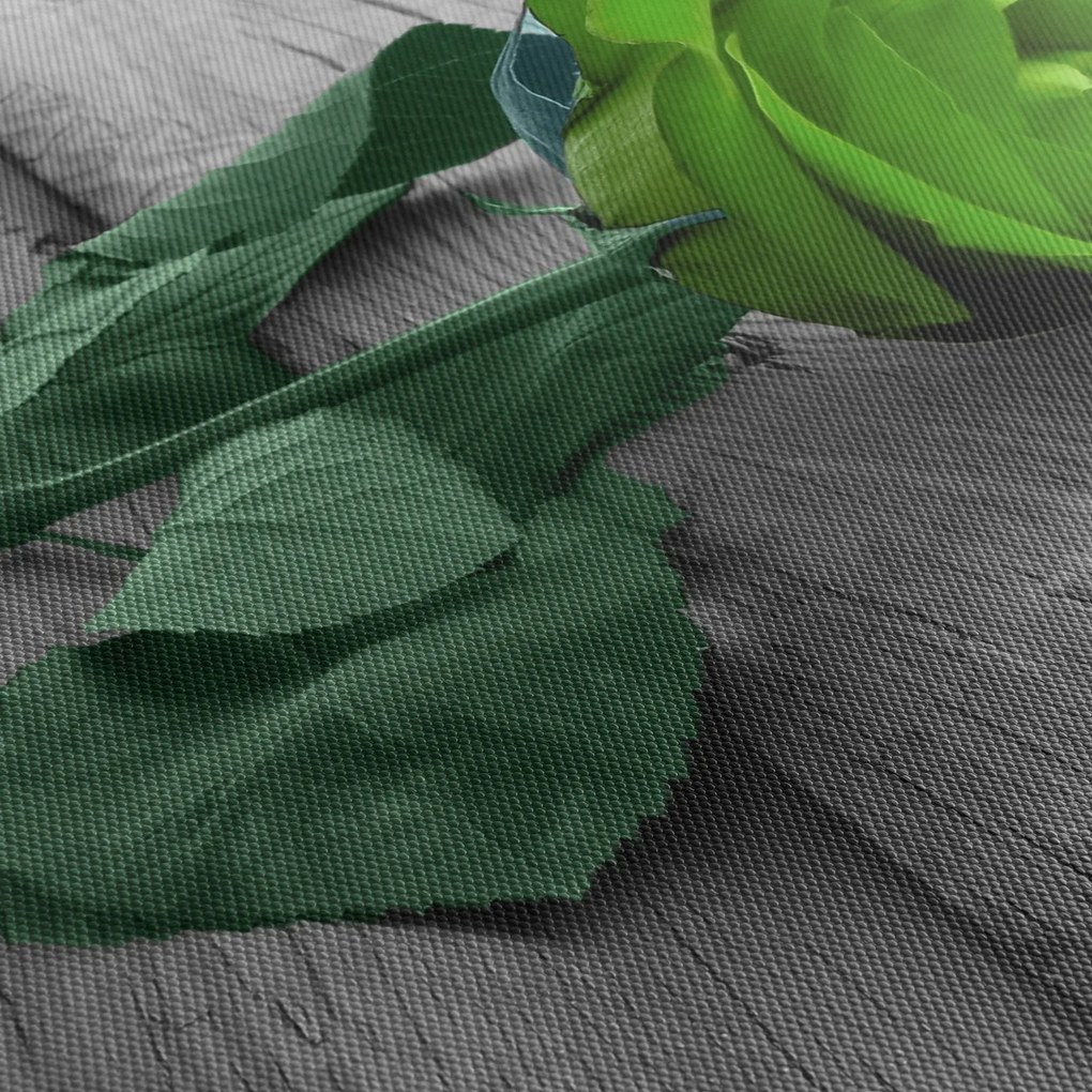 Tablou - Trandafir verde (150x105 cm)
