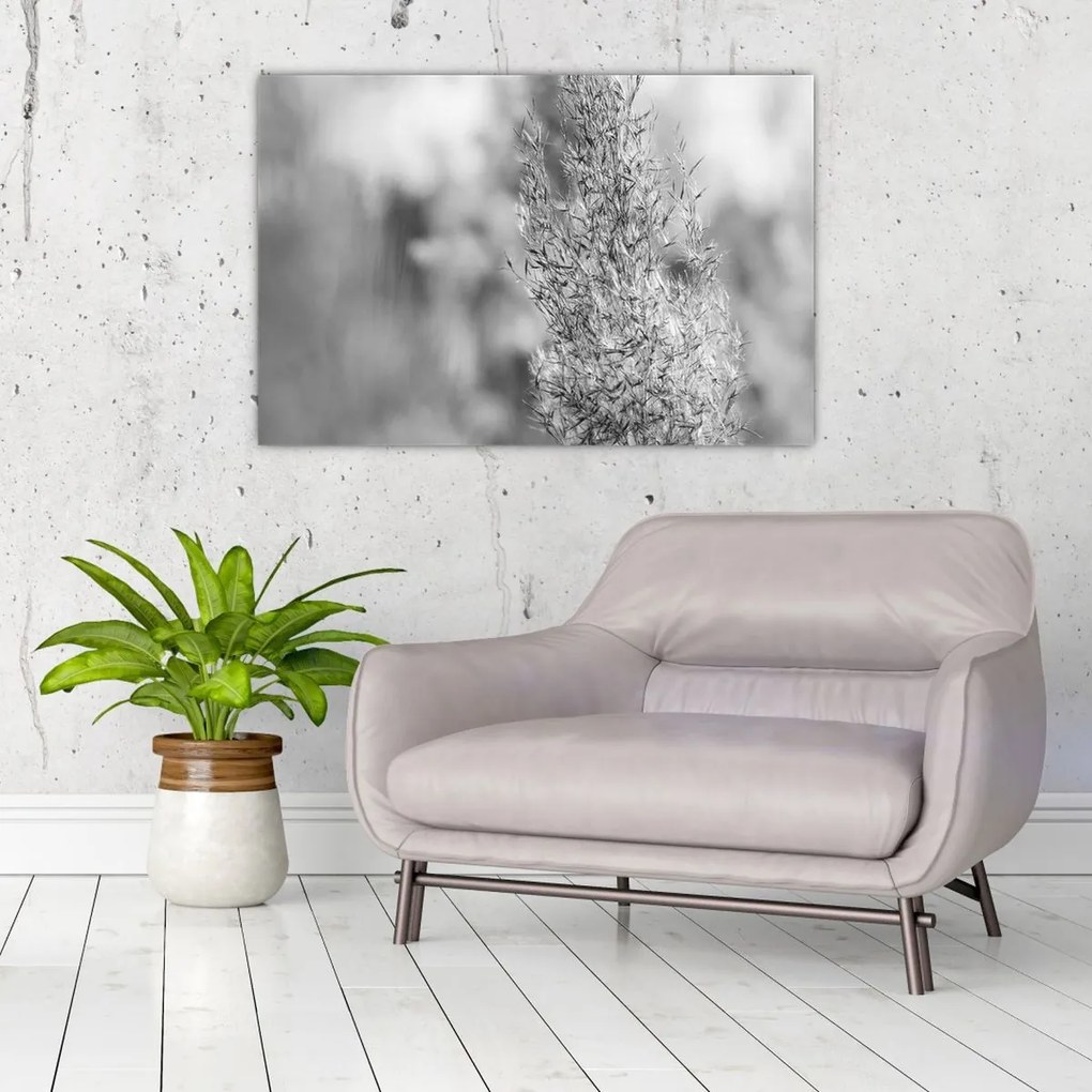Tablou - Iarbă de pampas Boho (90x60 cm)