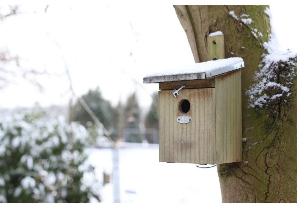Căsuță pentru păsări din lemn – Esschert Design