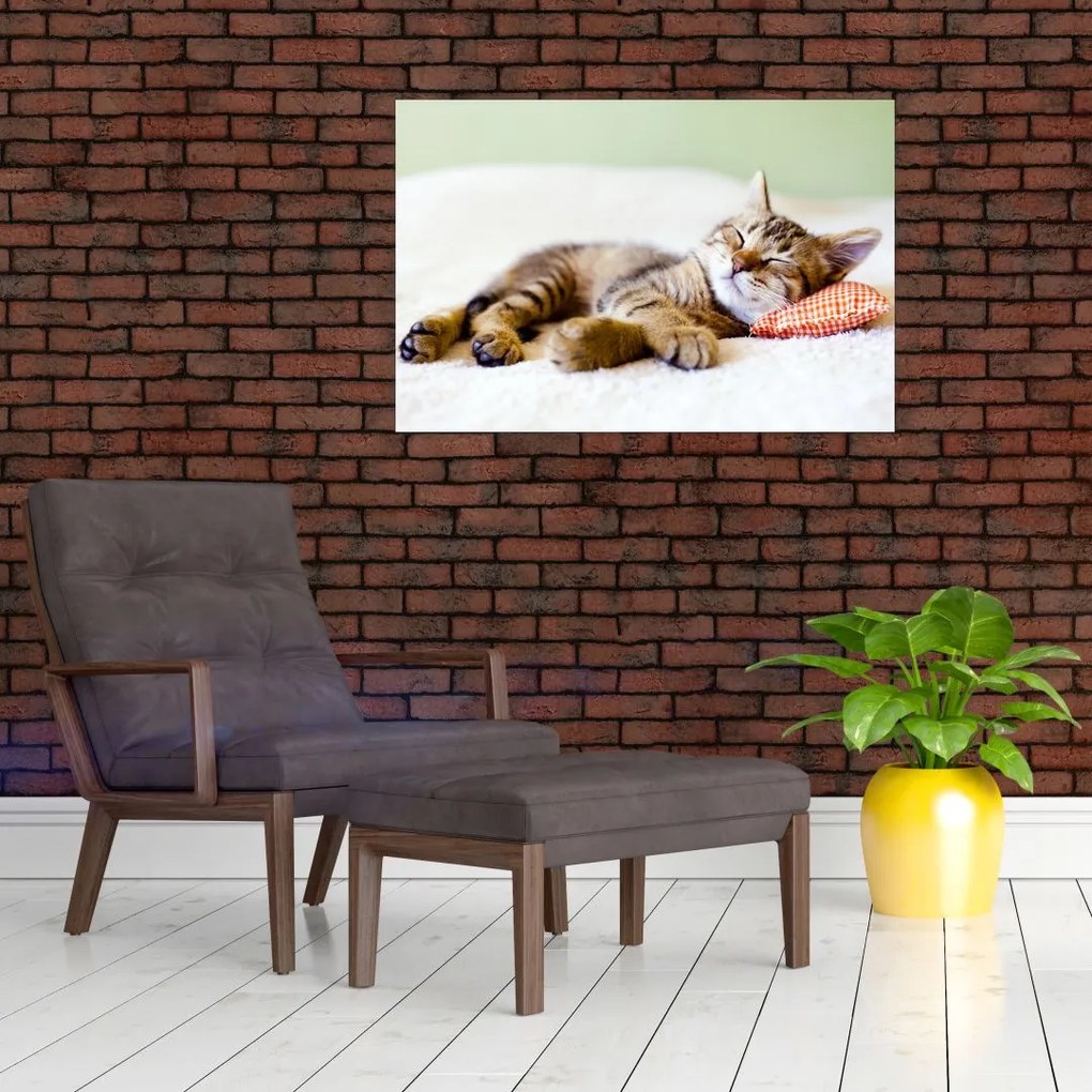 Tablou - Pisicuța adormită (90x60 cm)