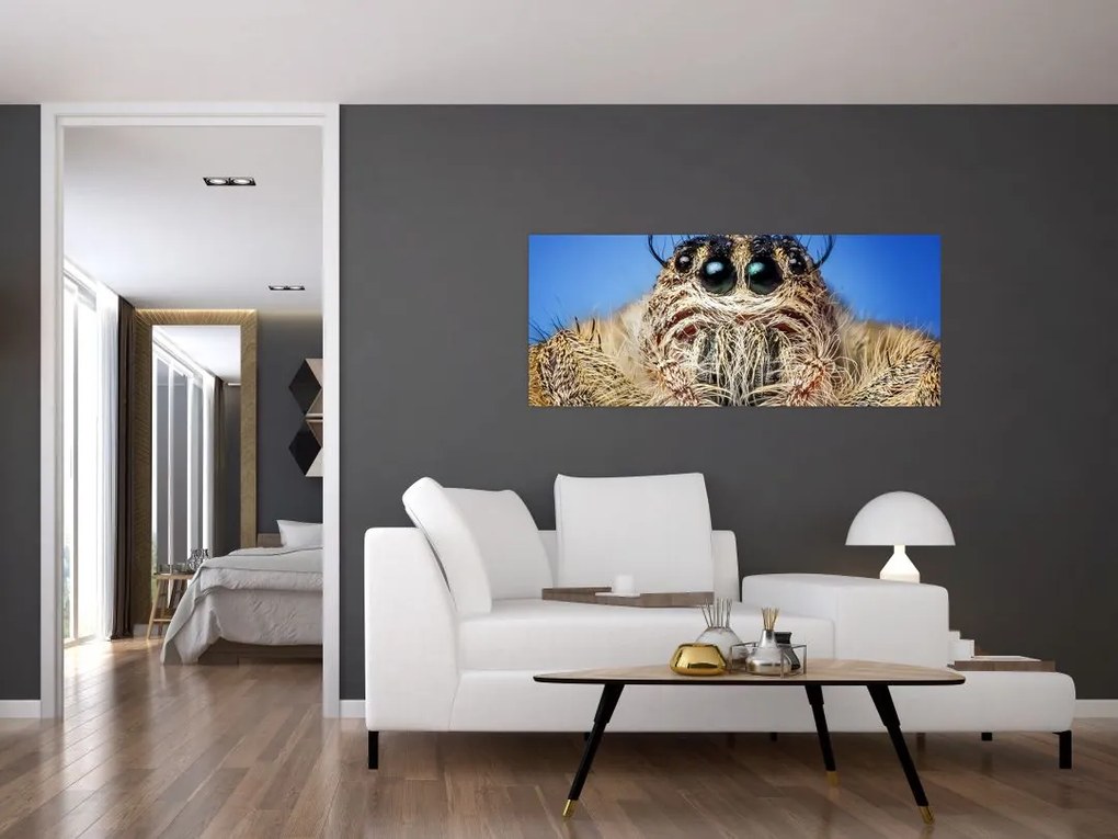 Tablou cu detalii a unui pâianjen (120x50 cm)