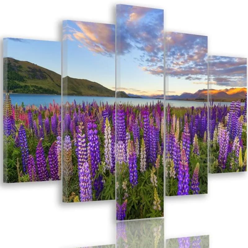CARO Tablou pe pânză - Lavender Field 150x100 cm