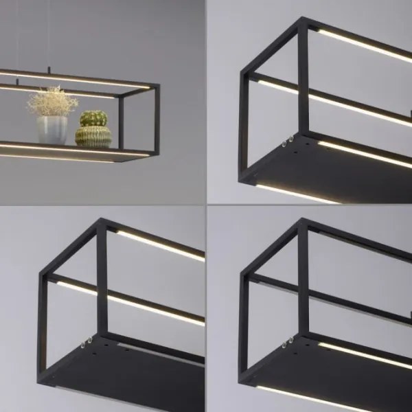 Lustră LED dimabilă pe cablu CONTURA 4xLED/8W/230V Paul Neuhaus 2441-18