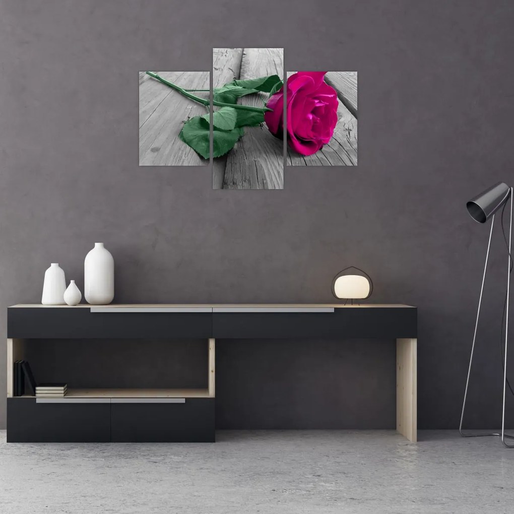 Tablou - Trandafir roz cu tulpina verde (90x60 cm)