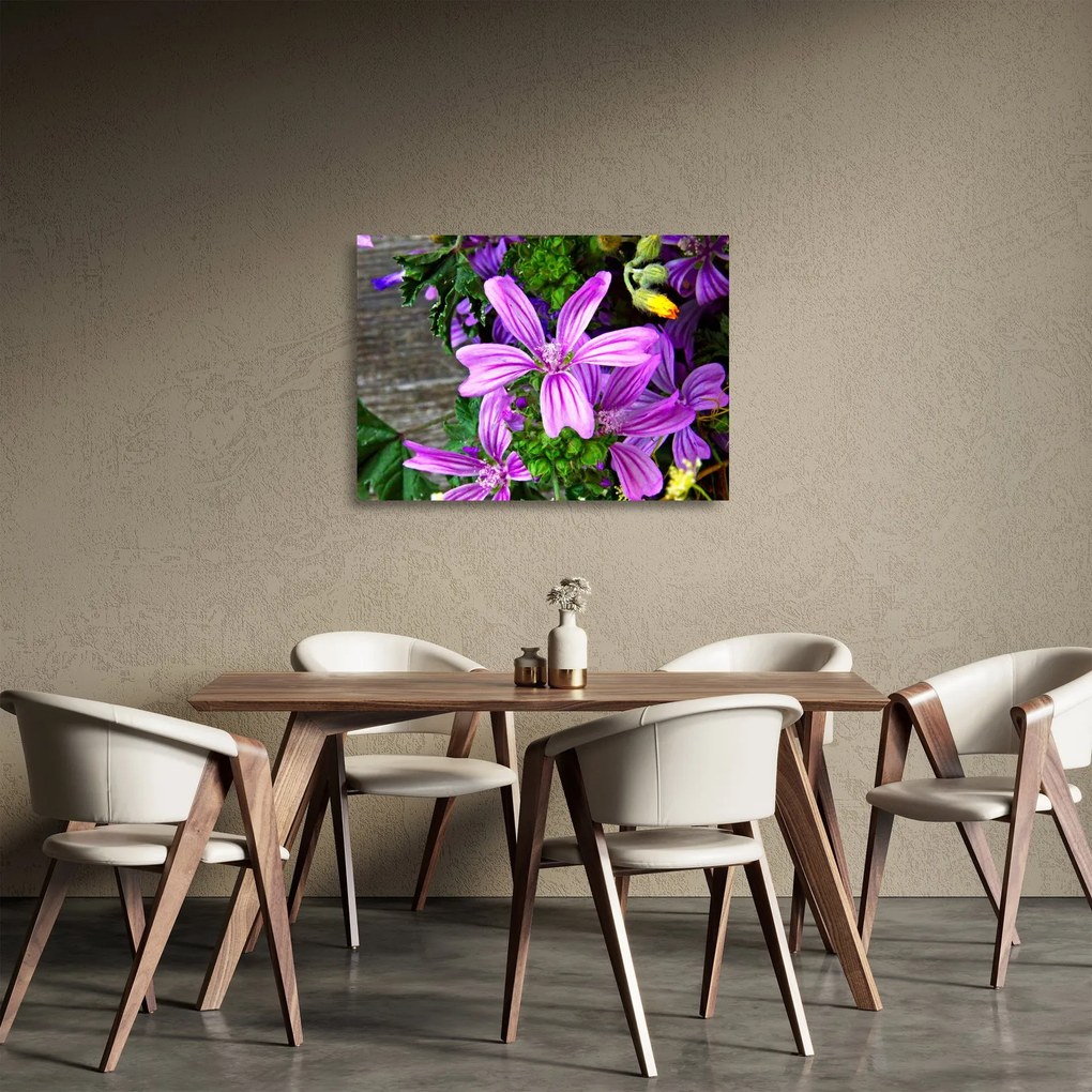 Tablou pe sticlă -flori de câmp (70x50 cm)