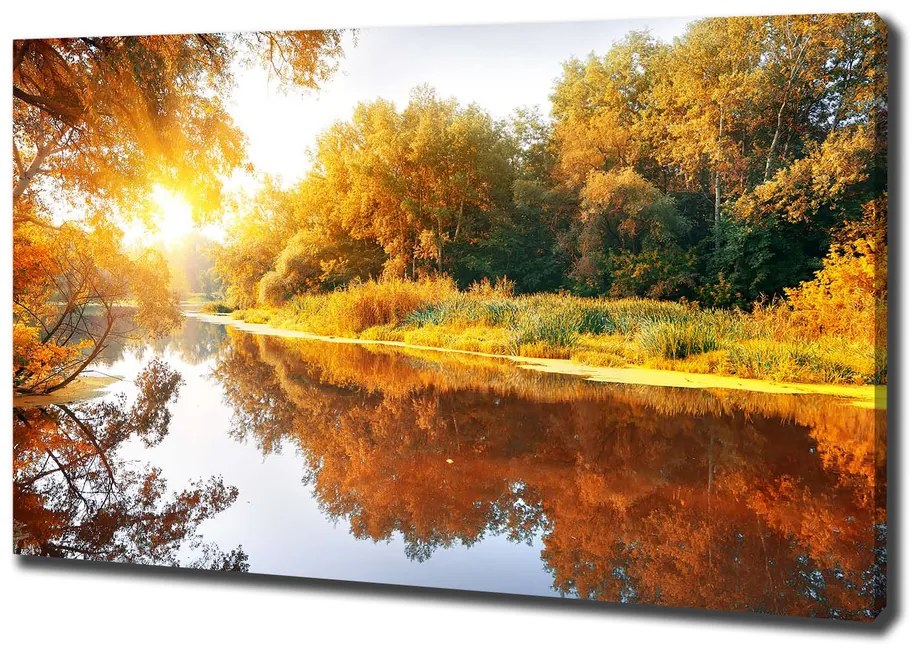 Print pe canvas Râu în toamna