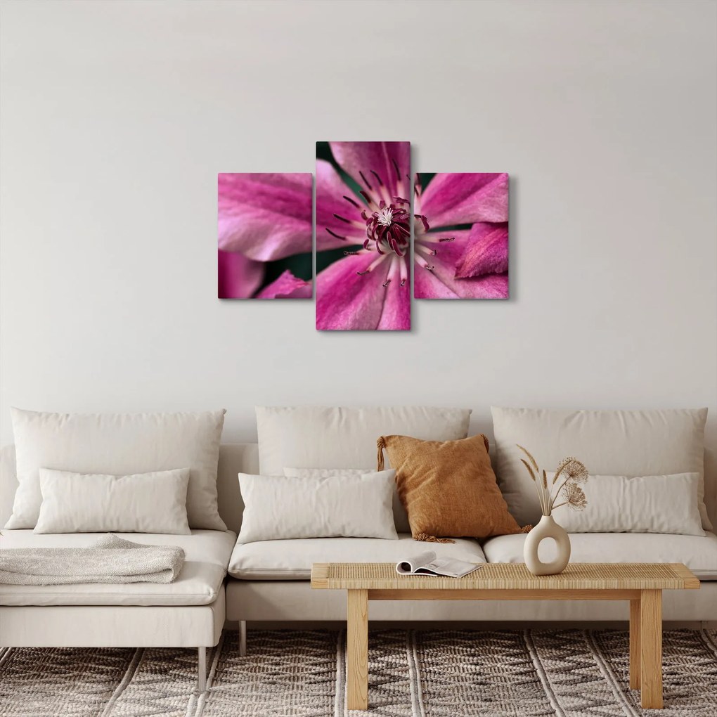 Tablou cu floarea roz de clematis (90x60 cm)