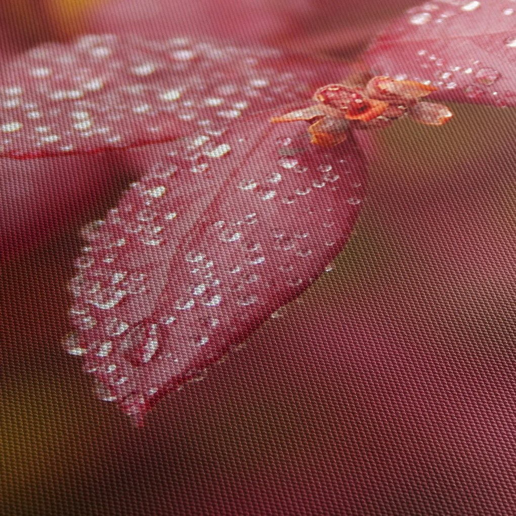 Tablou - Imagine macro a biletului (150x105 cm)