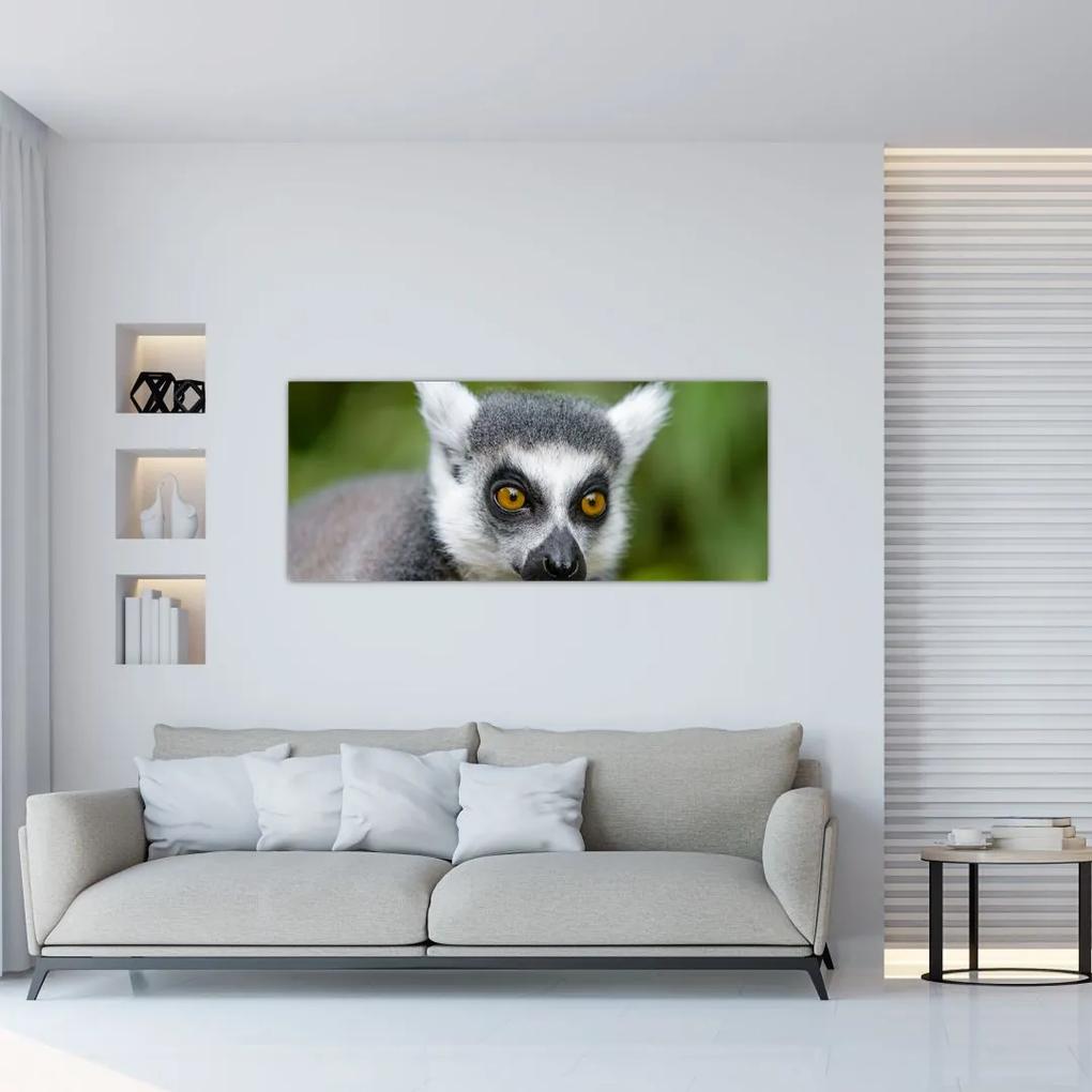 Tablou cu lemur (120x50 cm), în 40 de alte dimensiuni noi