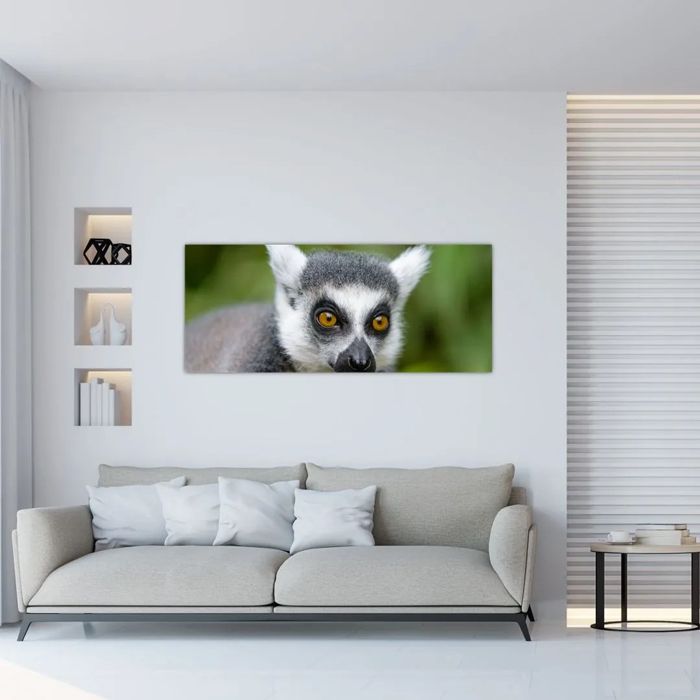 Tablou cu lemur (120x50 cm)