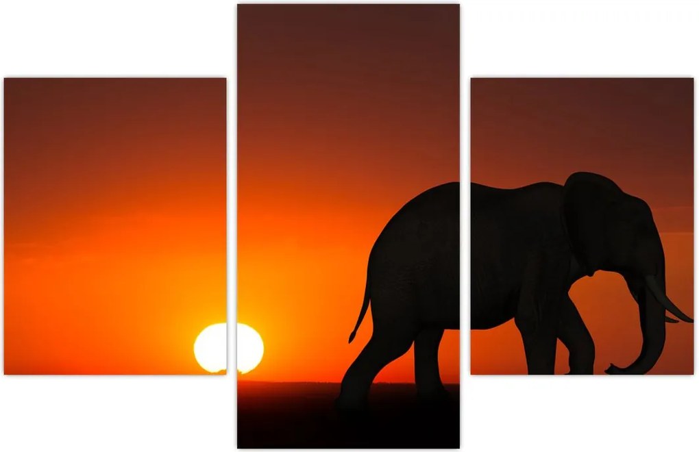 Tablou cu elefant în apus de soare (90x60 cm)