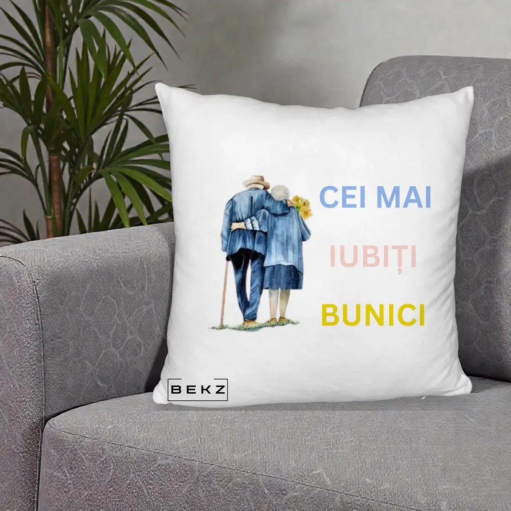 Cadou pentru Bunici - Perna Personalizata Cei Mai Iubiti Bunici Acuarela Spate, 40x40 cm, Alb Pufos, Husa Detasabila, Perna Inclusa, BEKZ®