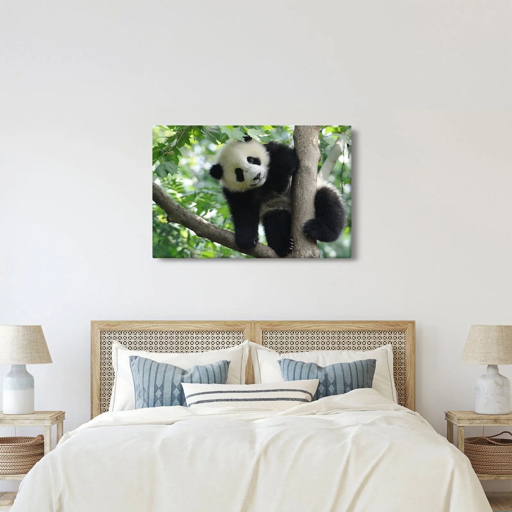 Tablou - Panda in copac (90x60 cm)