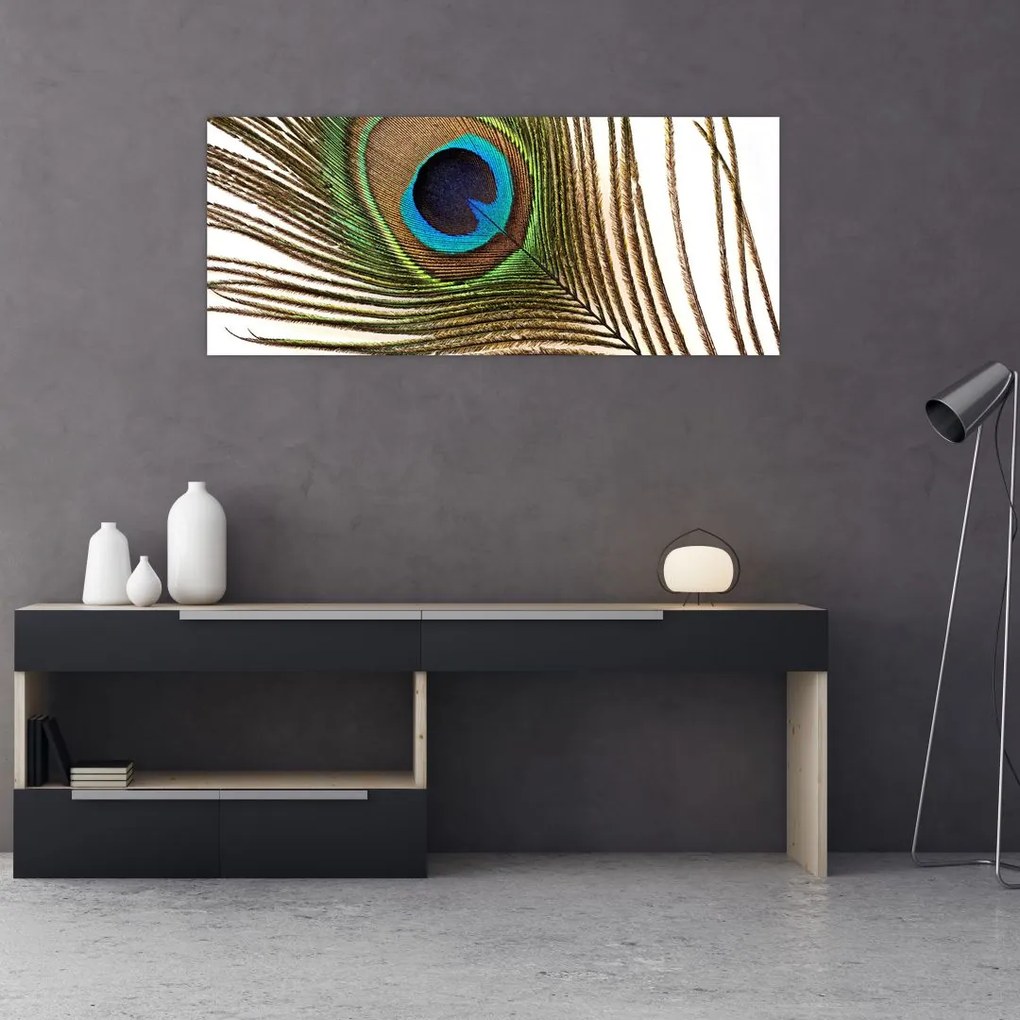 Tablou cu pene de păun (120x50 cm)