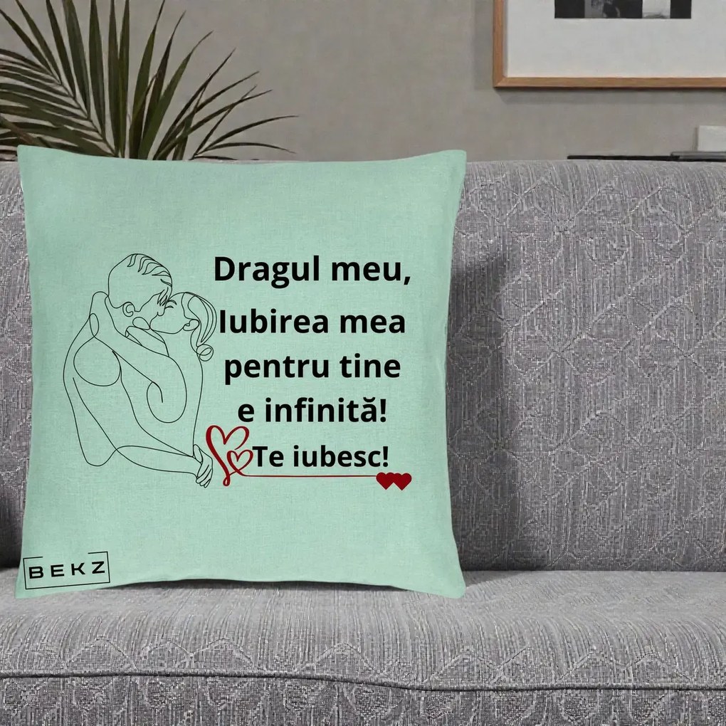 Cadou pentru Iubit - Perna Personalizata Dragul Meu Iubirea Mea pentru Tine e Infinita Te Iubesc, 40x40 cm, Verde Menta, Husa Detasabila, Perna Inclusa, BEKZ®