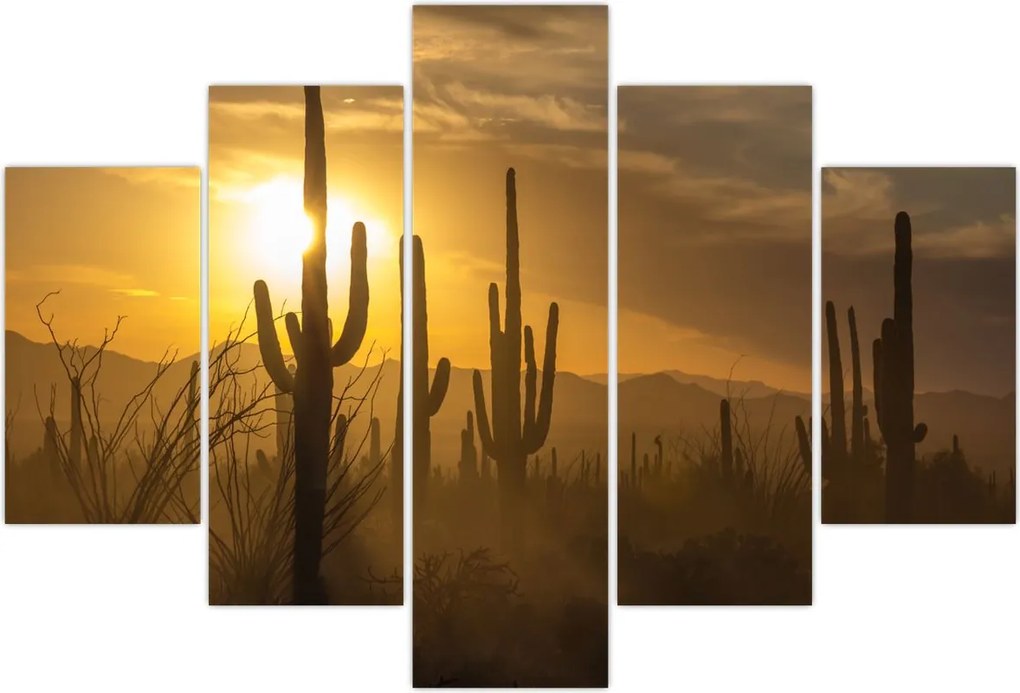 Tablou - Cactuși Saguaro (150x105 cm)