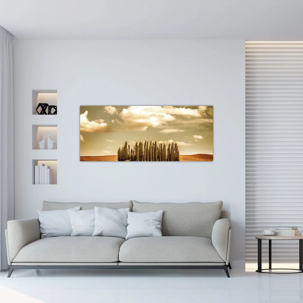 Tablou cu luncă (120x50 cm)