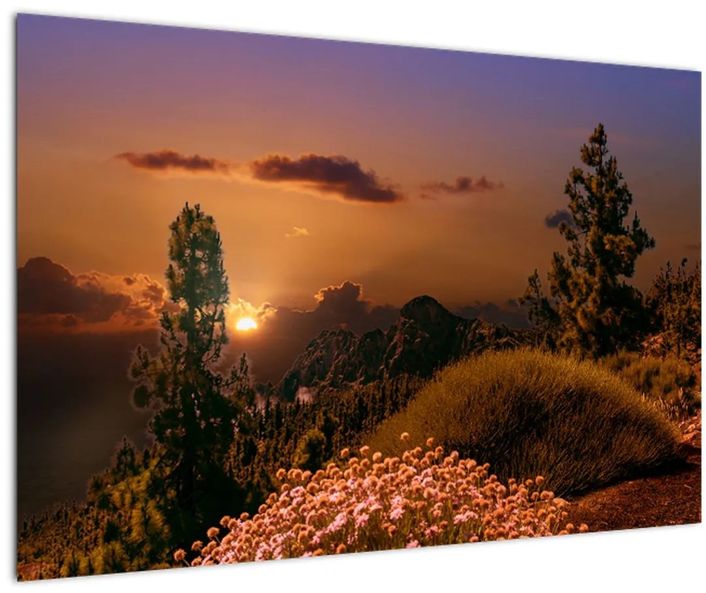 Tablou naturii cu apus de soare (90x60 cm)