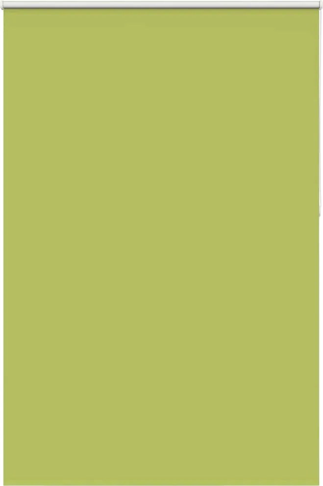 vidaXL Jaluzea cu role opace 165x230 cm Lățime material 161,6 cm