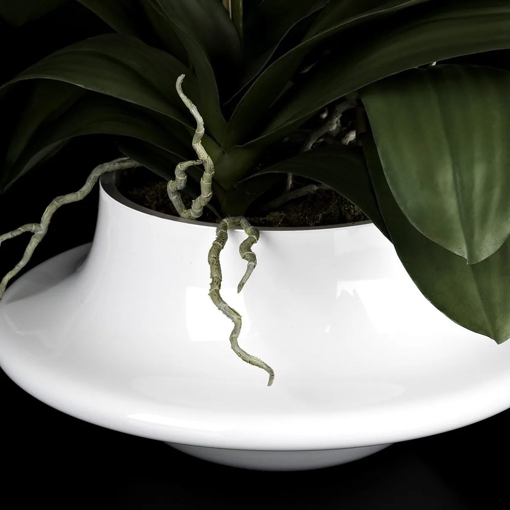 Aranjament floral elegant ATOLLO 3 WITH PHALENOPSIS BIG 1141263.95