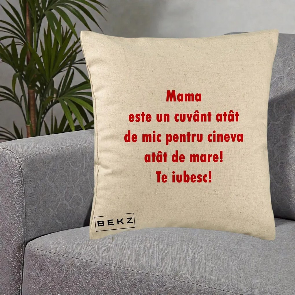 Cadou pentru Mama - Perna Personalizata Mama Cuvant Mic, 40x40 cm, Bej, Husa Detasabila, Perna Inclusa, BEKZ®