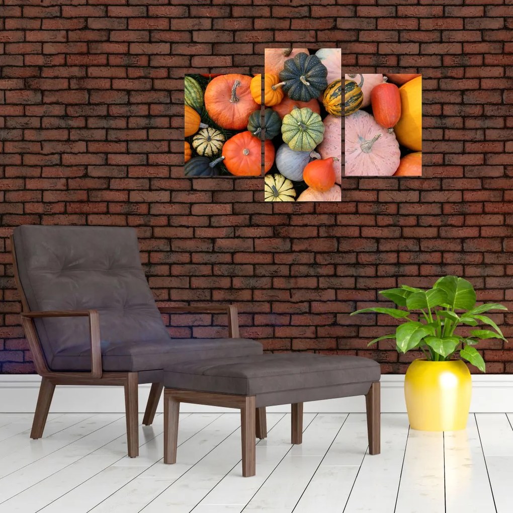 Tablou - Dovleac (90x60 cm)