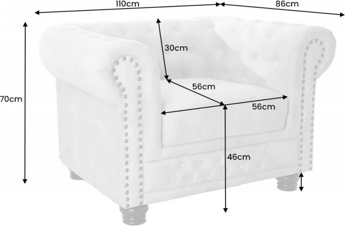 Fotoliu clasic stil englezesc Chesterfield, sampanie
