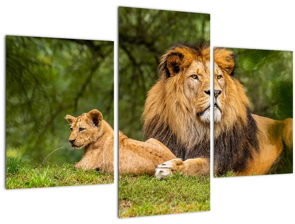 Tablou cu lei (90x60 cm)