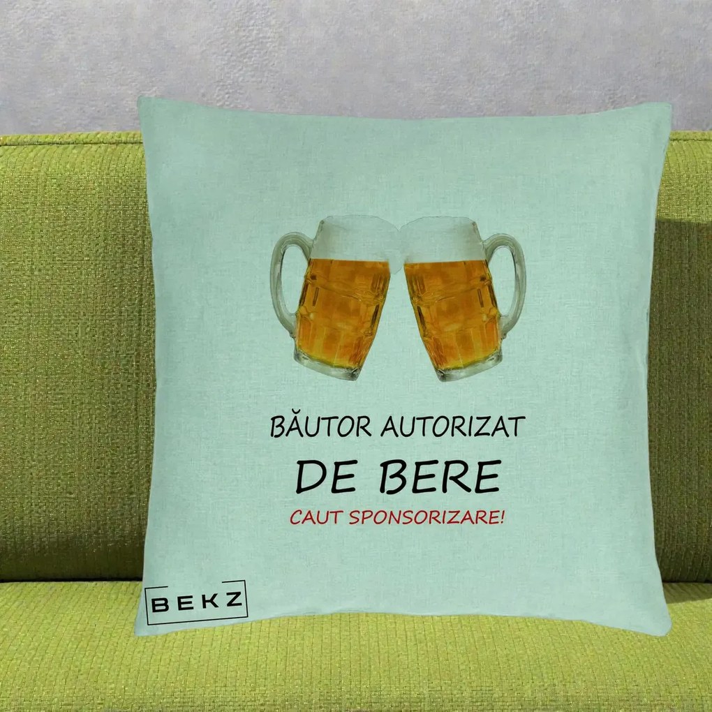Perna Decorativa Bautor Autorizat de Bere, 40x40 cm, Verde Menta, Husa Detasabila, Perna Inclusa, BEKZ®