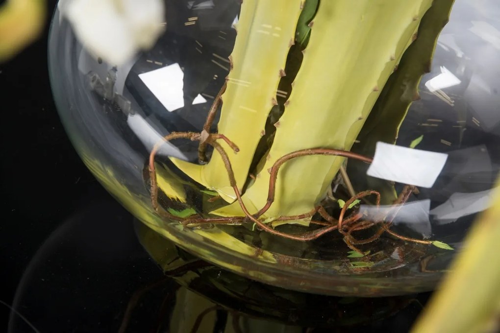 Aranjament floral mare design LUX ETERNITY BOWL ATHENA 1142260.95