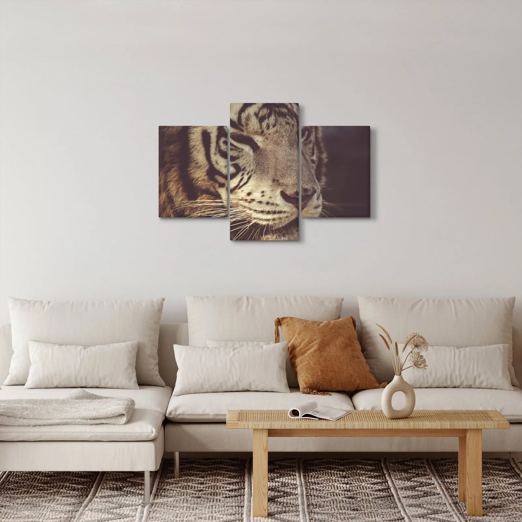 Tablou cu tigrul (90x60 cm)