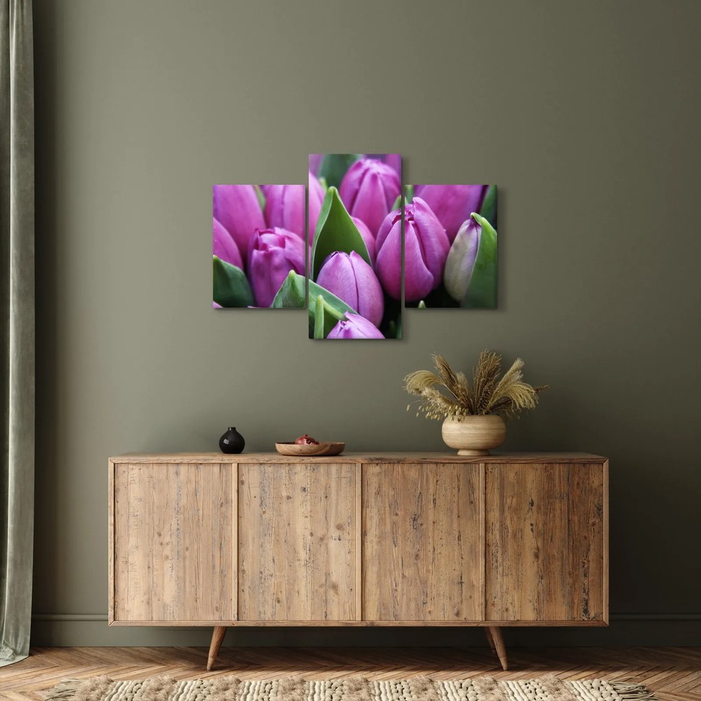 Tablou - florile lalelelor (90x60 cm)