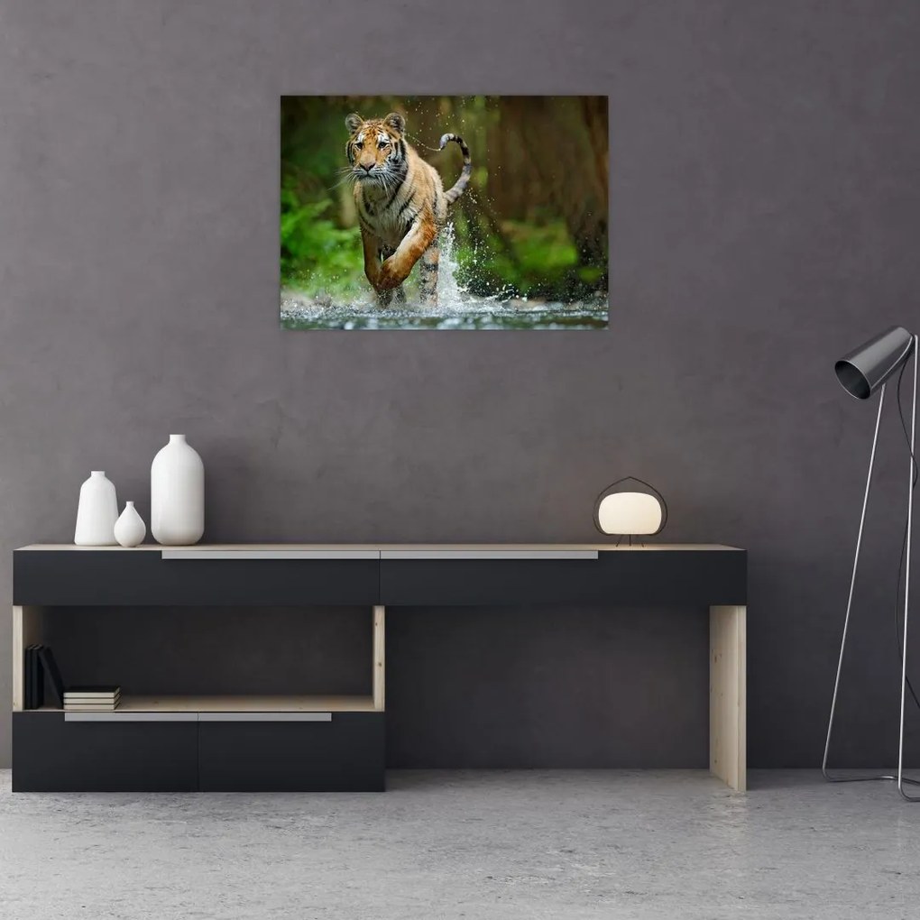 Tablou pe sticlă cu trigrul fugind (70x50 cm)