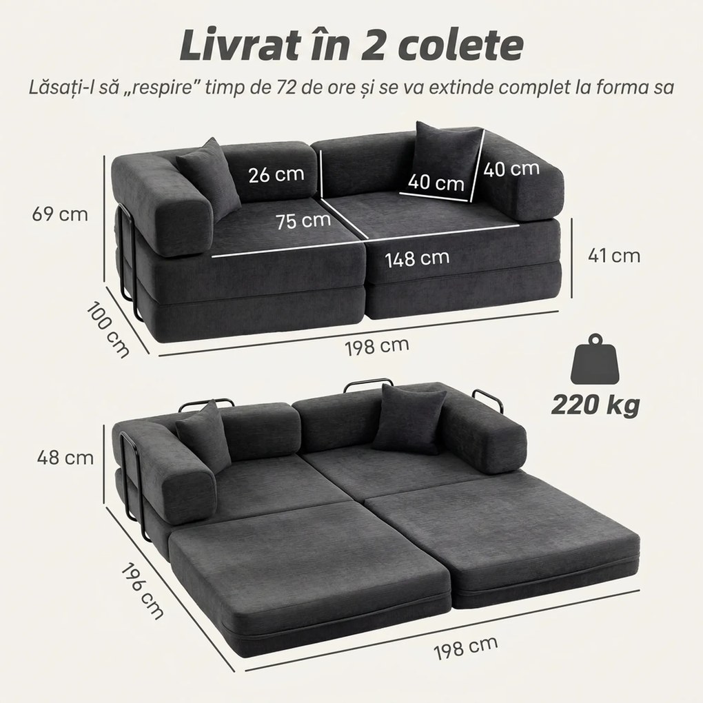 HOMCOM Canapea extensibilă 2 locuri pliabilă din chenille, cu 2 perne, brațe late, fără montaj, gri închis | Aosom Romania