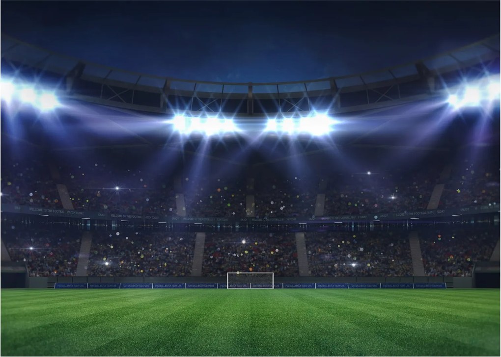 Tablou - Stadion de fotbal (70x50 cm)