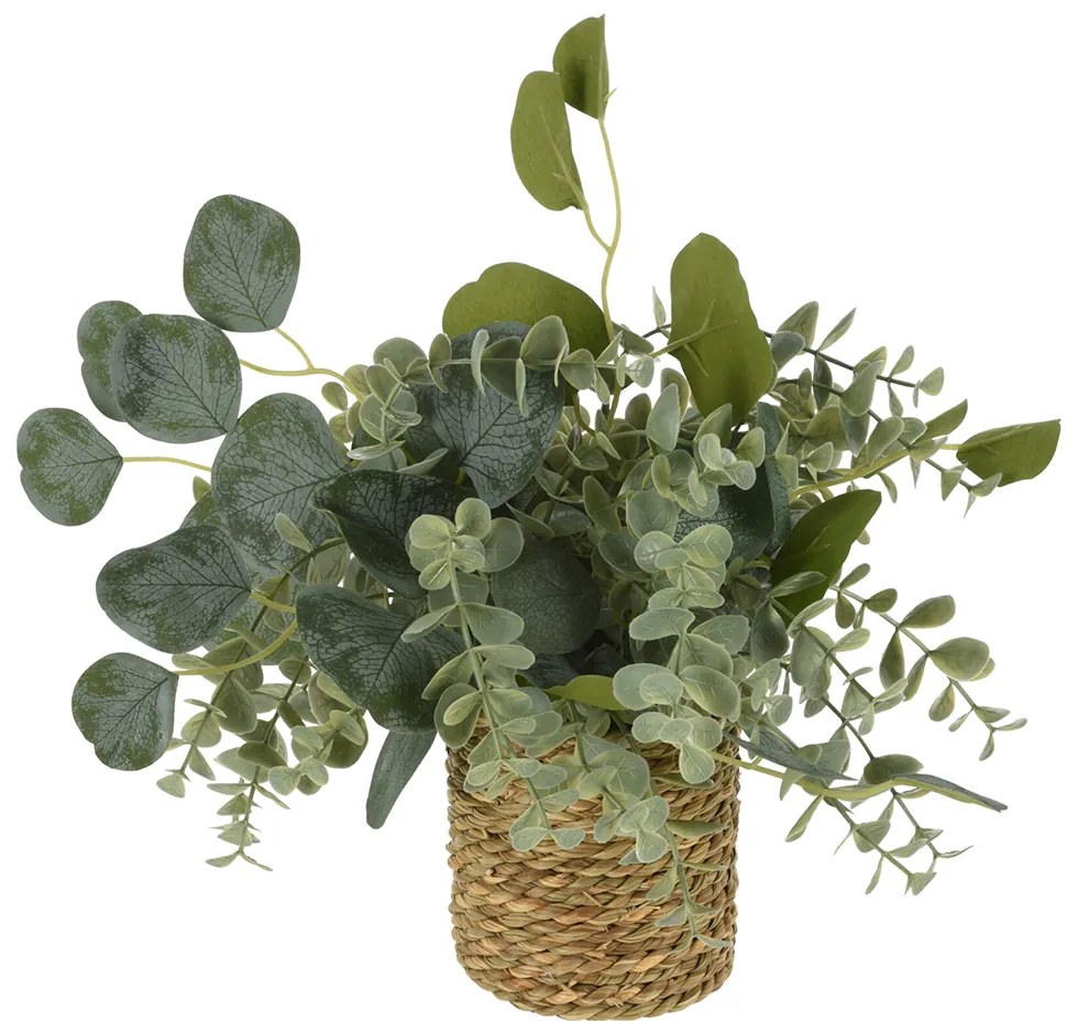 Planta decor in cos, 13x6 cm, seagrass/nature, disponibila in 4 variante