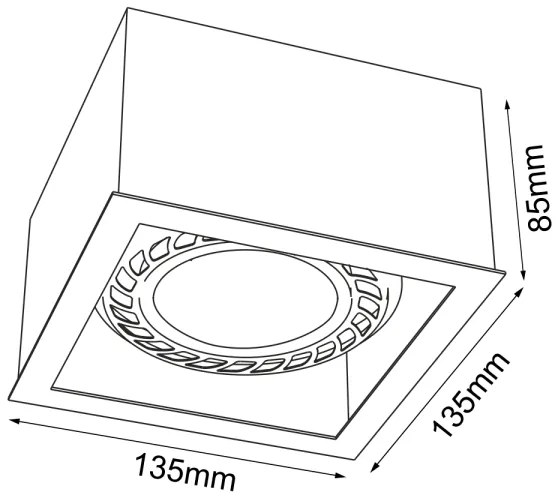 Brosline 1272 - Spot CAGE 1xGU10/18W/230V alb