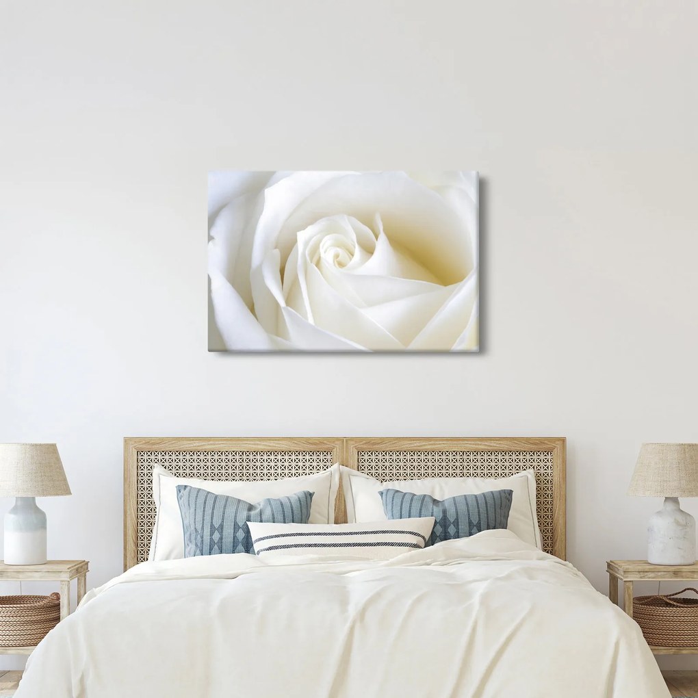 Tablou cu tandafir alb (90x60 cm)