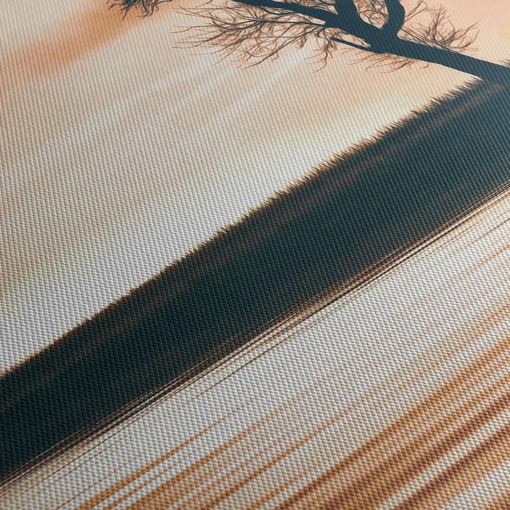 Tablou - Copaci pe insulă (120x50 cm)