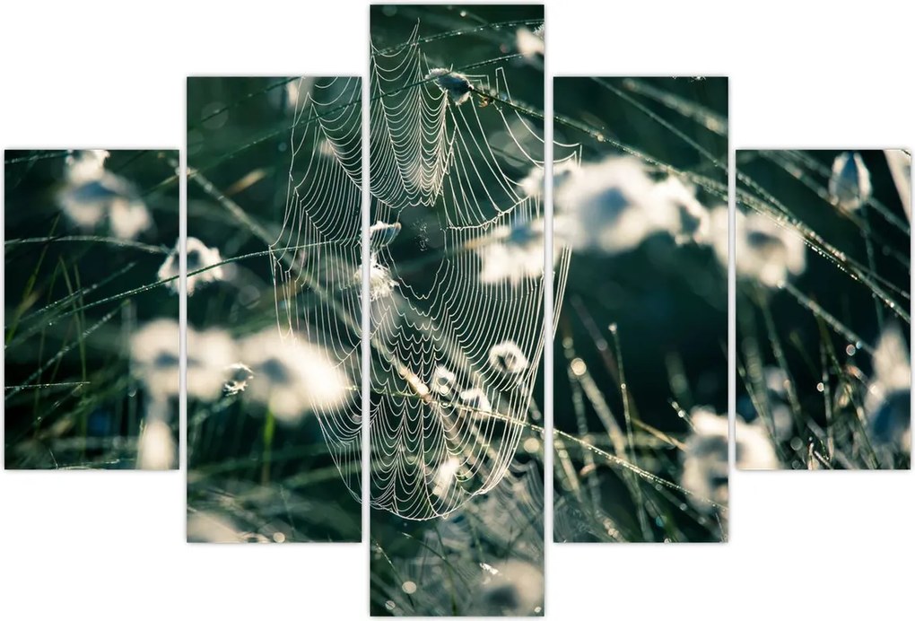 Tablou - Pânză de păianjen (150x105 cm)