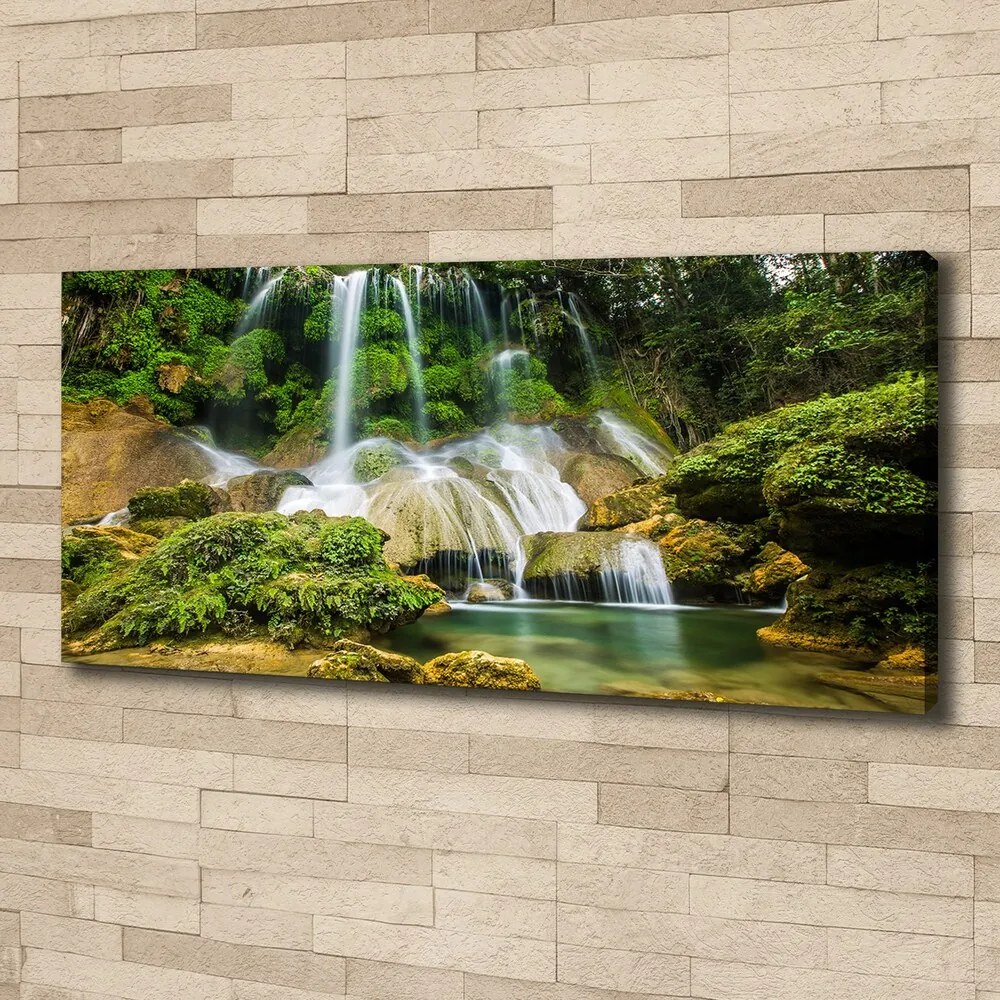 Tablou canvas Cascadă