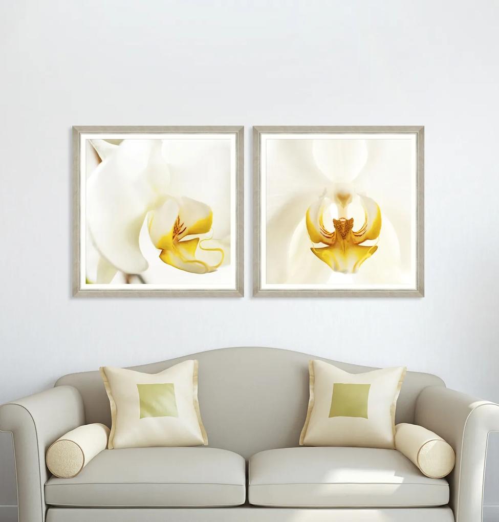 Tablou Framed Art Orchid Bloom I