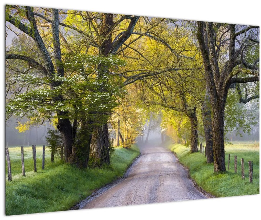 Tablou - Smoky Mountains, Gatlinburg, SUA (90x60 cm)