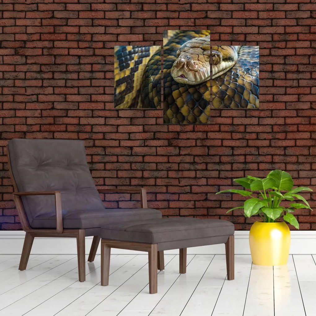 Tablou - Piton (90x60 cm)