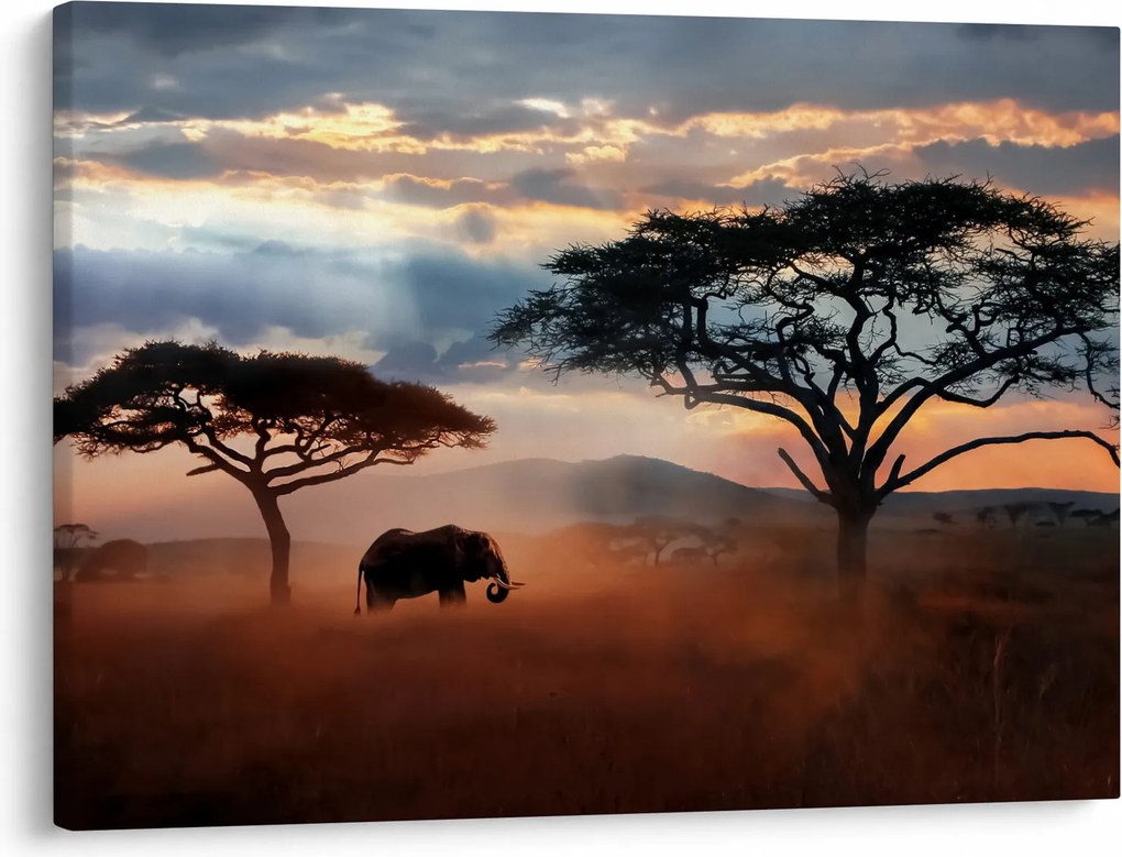 Tablou - Parcul Național Serengeti, Tanzania, Africa (70x50 cm)