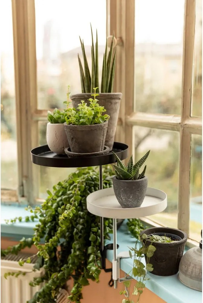 Ghivece 3 buc. din teracotă ø 10 cm – Esschert Design