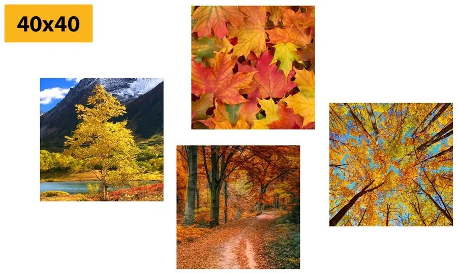 Set tablouri natura de toamnă în culori frumoase