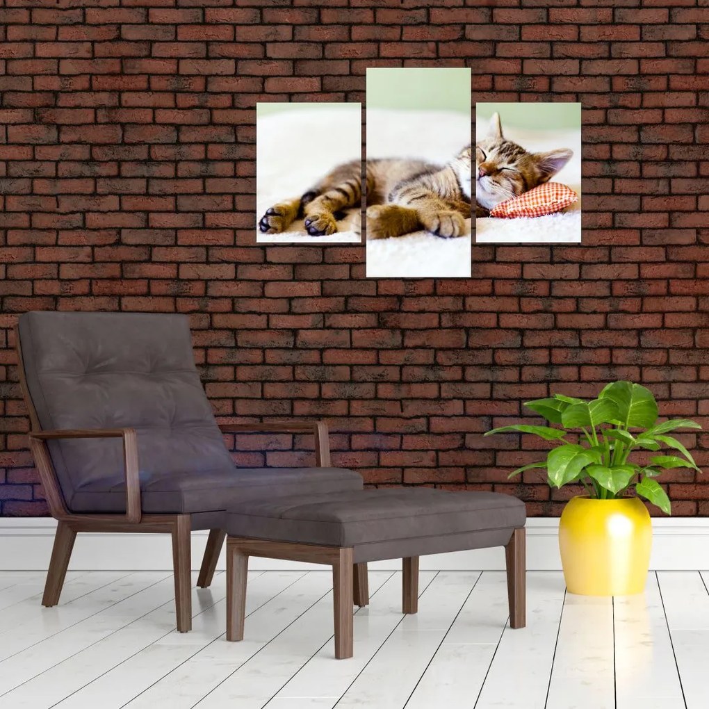 Tablou - Pisicuța adormită (90x60 cm)