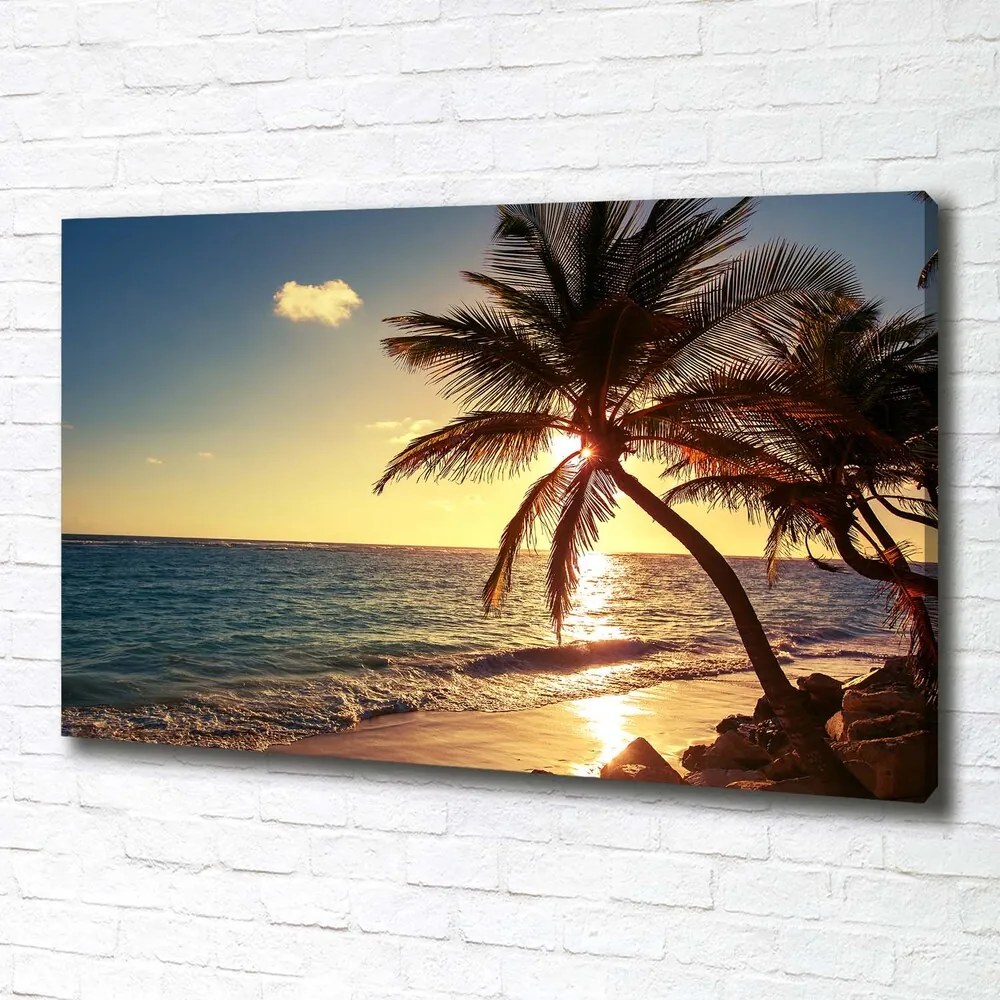Tablou canvas Plaja tropicala